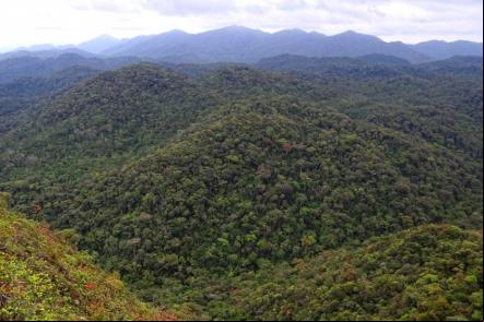 A vista do topo de uma colina no parque - Foto: Bjorn-Christian Torrissen (Licen