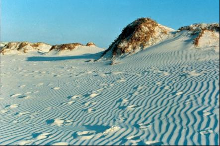 As dunas de Cabo Frio - Foto: Arquivo Turisrio